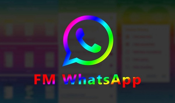 Fm Whatsapp Download